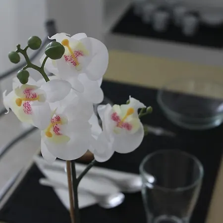 Nine Senses Guest house Furadouro
