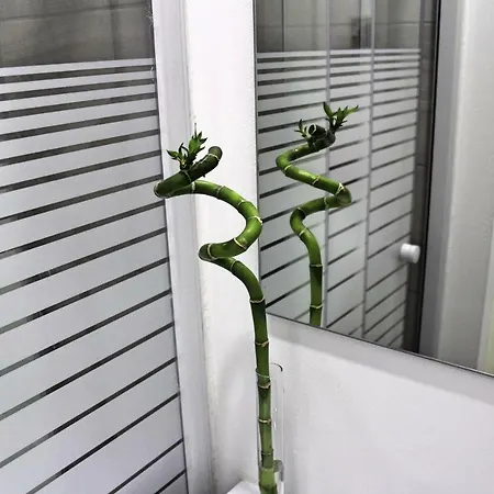 Nine Senses Guest house
